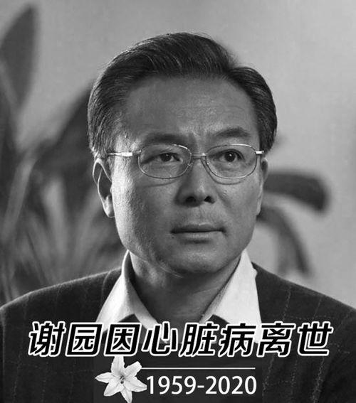 谢园爆料教授是谁啊视频,揭秘娱乐圈背后的故事  第1张