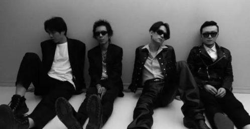 北京乐队爆料最新消息新闻,最新动态及幕后故事大揭秘